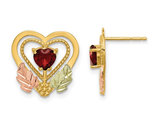 1/2 Carat (ctw) Garnet Heart Earrings in 10K Yellow Gold with Chain